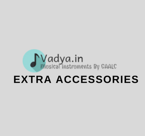 buy-music-instruments-accessories-online-music-store-divya-vadya-delhi-india